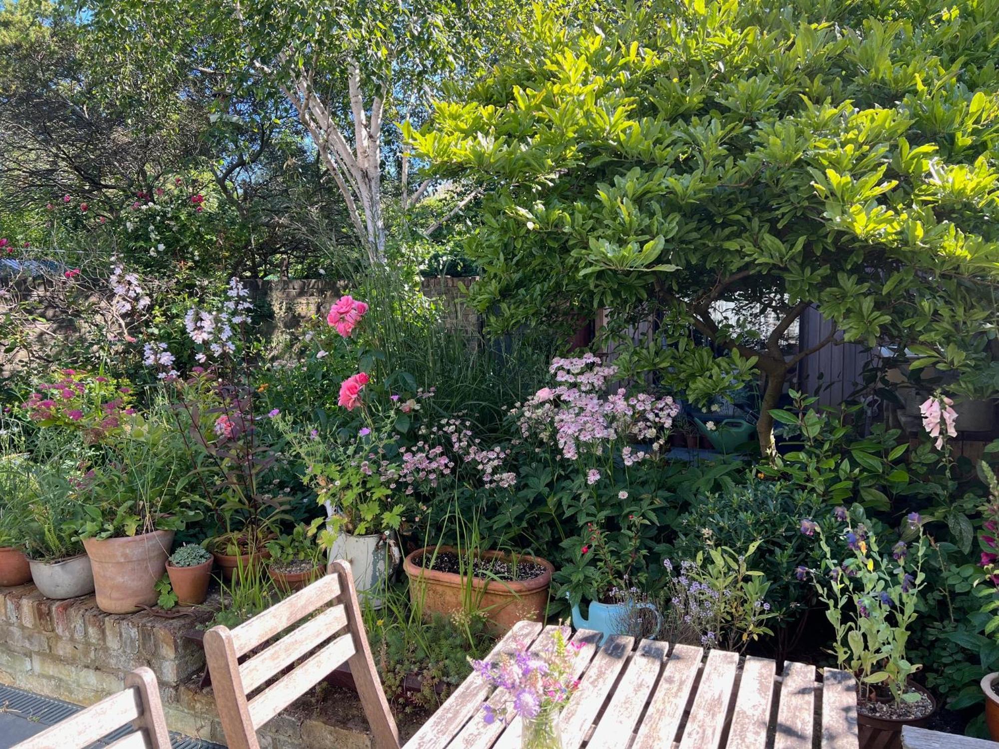 Bright And Elegant 2 Bedroom Flat, Near Notting Hill Londres Exterior foto