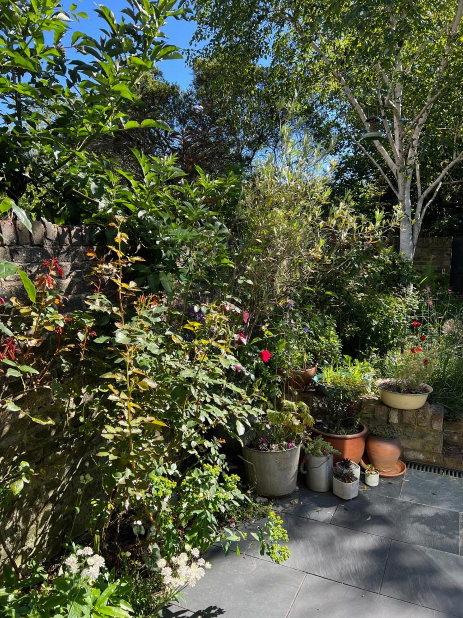 Bright And Elegant 2 Bedroom Flat, Near Notting Hill Londres Exterior foto